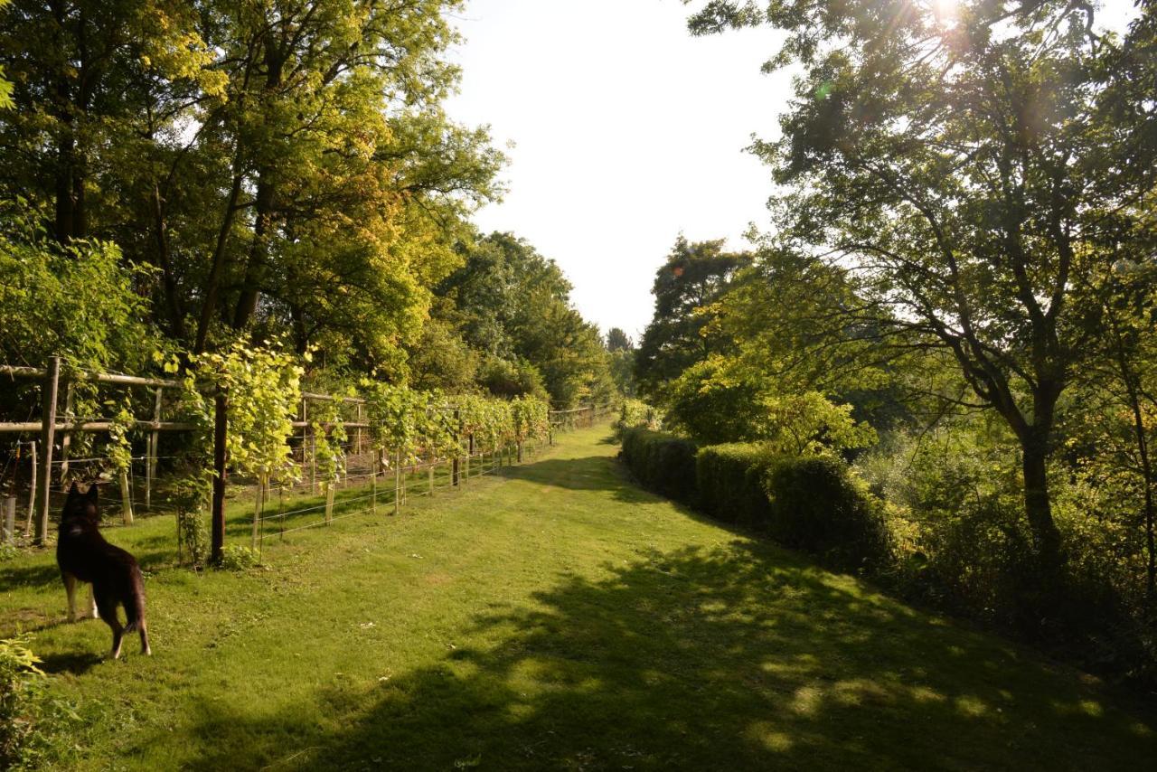 Thatchcombe B&B Вонтідж Екстер'єр фото